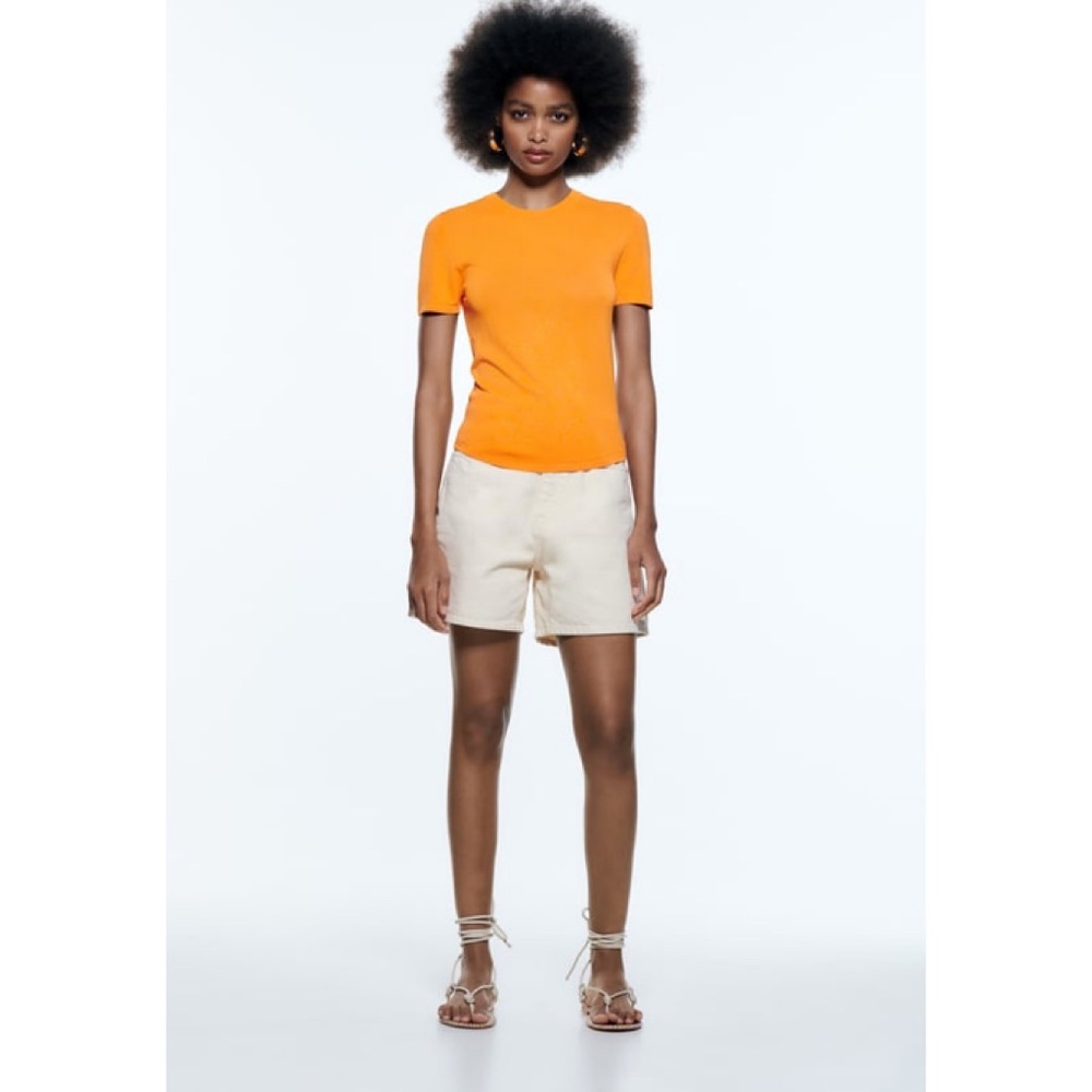 Zara Basic Extrafine Knit Top